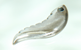 #219 �Ñ㋛: size 30x10x4mm 18,000.-